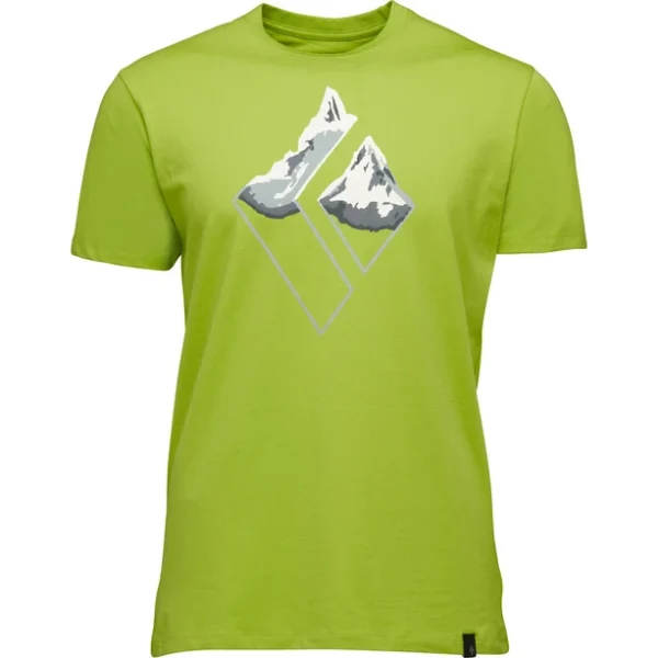 Black Diamond Mountain Logo SS Tee Men, Vert 1