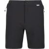 Regatta Mountain II Shorts Men, Gris/noir 16